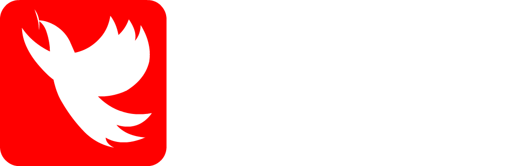 织雀科技